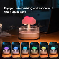 Rain Cloud Humidifier